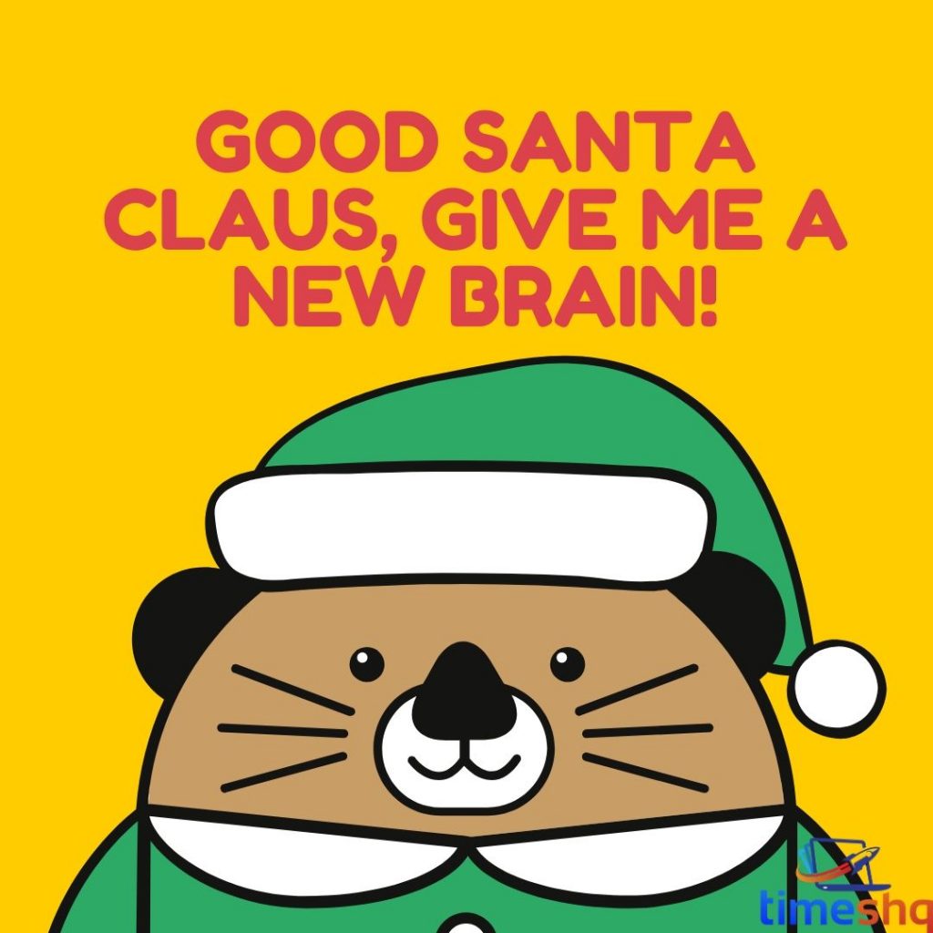 Christmas Wishes Quotes about Santa Claus