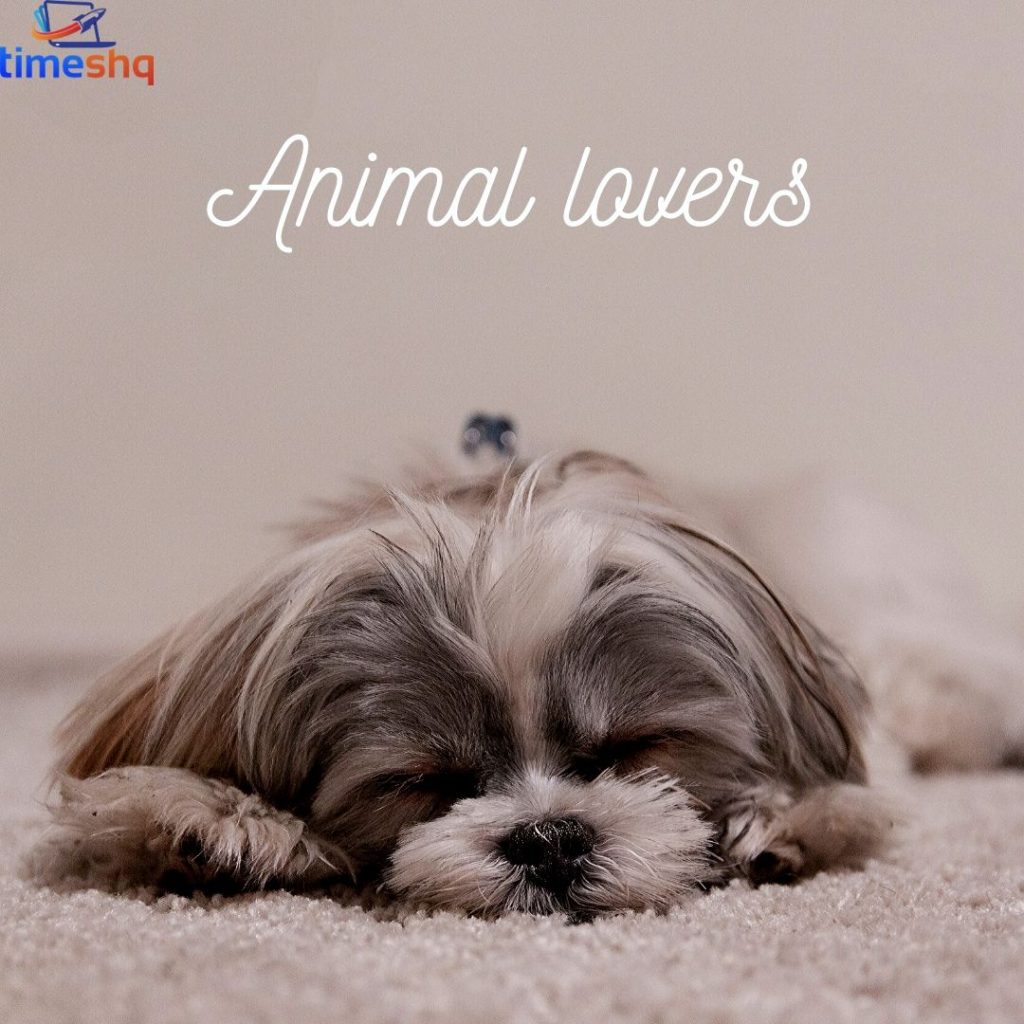 Group names for Pet lovers